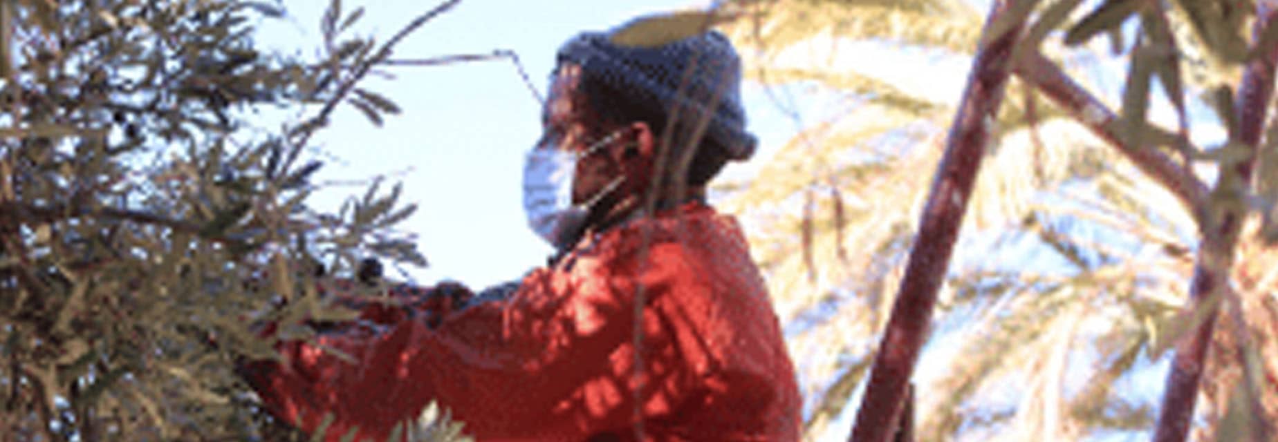 Avaclim – Une voie d’adaptation au changement climatique