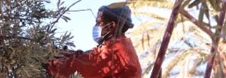 Avaclim – Une voie d’adaptation au changement climatique