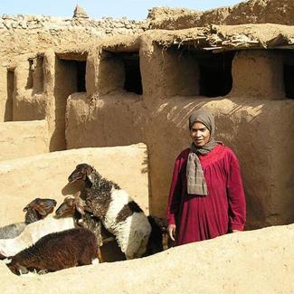 Programme d’INitiatives Entrepreneuriales de Services agricoles – Commune de Ghassate, Ouarzazate